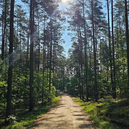 Homestay Goscinne Majka